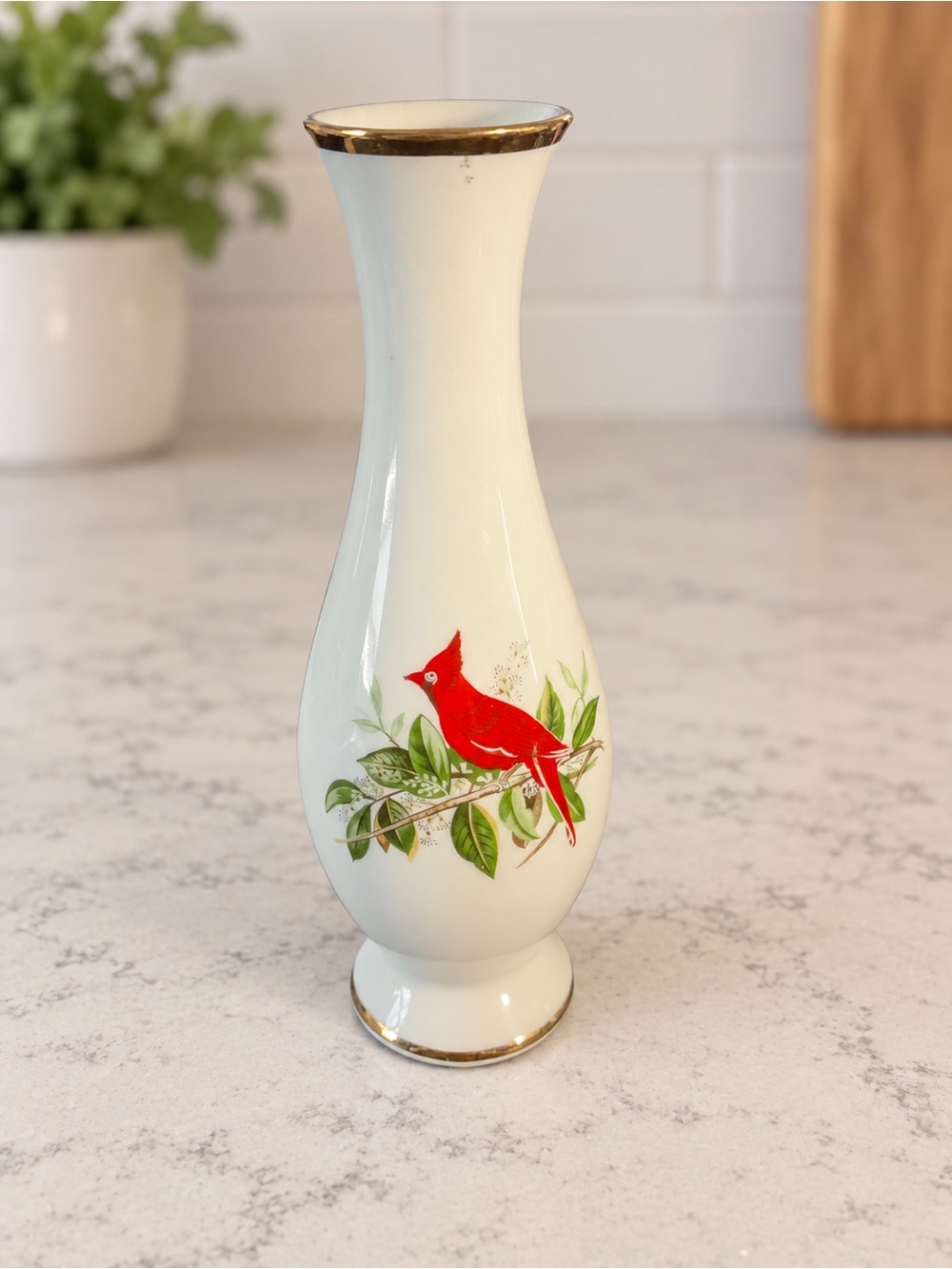 Vintage Gerold Porzellan Cardinal Bud Vase Bavaria West Germany 9”